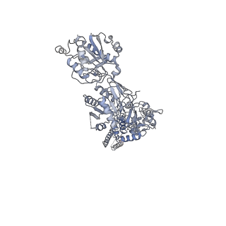25852_7tet_B_v1-0
Cryo-EM structure of GluN1b-2B NMDAR in complex with Fab5 in non-active2-like conformation