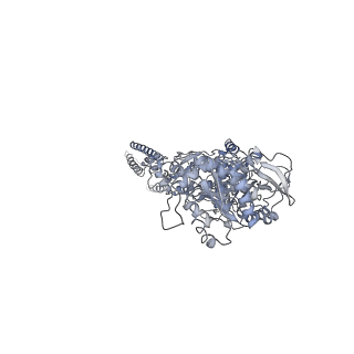 25852_7tet_C_v1-0
Cryo-EM structure of GluN1b-2B NMDAR in complex with Fab5 in non-active2-like conformation
