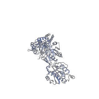 25852_7tet_D_v1-0
Cryo-EM structure of GluN1b-2B NMDAR in complex with Fab5 in non-active2-like conformation