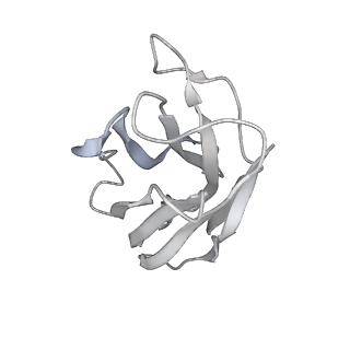 25852_7tet_M_v1-0
Cryo-EM structure of GluN1b-2B NMDAR in complex with Fab5 in non-active2-like conformation