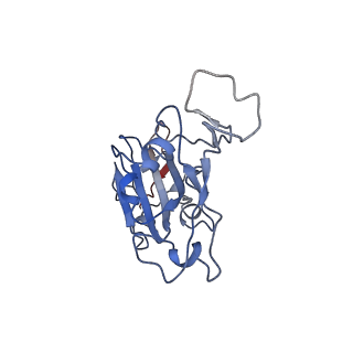 25853_7tew_B_v1-0
Cryo-EM structure of SARS-CoV-2 Delta (B.1.617.2) spike protein in complex with human ACE2 (focused refinement of RBD and ACE2)