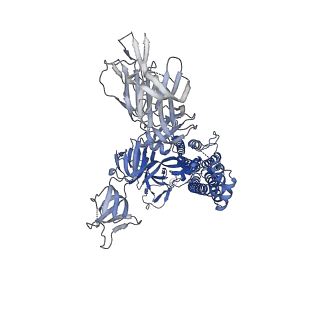 25854_7tex_A_v1-0
Cryo-EM structure of SARS-CoV-2 Delta (B.1.617.2) spike protein in complex with human ACE2