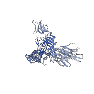 25854_7tex_C_v1-0
Cryo-EM structure of SARS-CoV-2 Delta (B.1.617.2) spike protein in complex with human ACE2