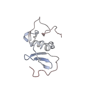 41179_8tea_C_v1-0
HCMV Pentamer in complex with CS2pt1p2_A10L Fab and CS3pt1p4_C1L Fab