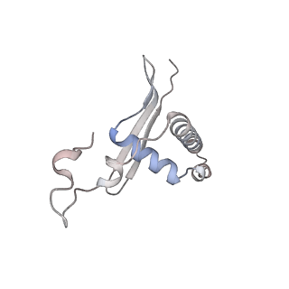 41179_8tea_E_v1-0
HCMV Pentamer in complex with CS2pt1p2_A10L Fab and CS3pt1p4_C1L Fab