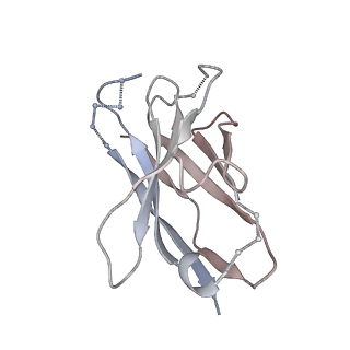 41179_8tea_F_v1-0
HCMV Pentamer in complex with CS2pt1p2_A10L Fab and CS3pt1p4_C1L Fab