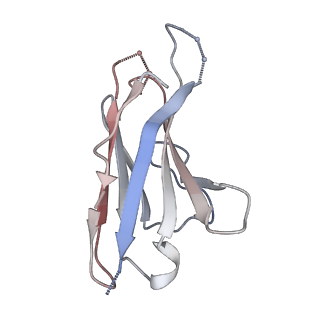 41179_8tea_G_v1-0
HCMV Pentamer in complex with CS2pt1p2_A10L Fab and CS3pt1p4_C1L Fab