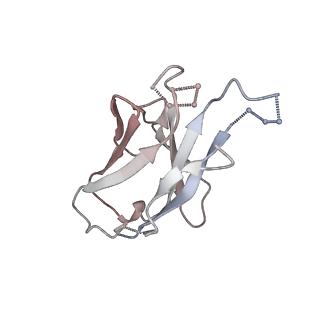 41179_8tea_I_v1-0
HCMV Pentamer in complex with CS2pt1p2_A10L Fab and CS3pt1p4_C1L Fab