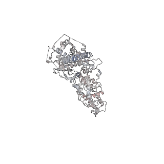 41194_8tep_C_v1-0
Human cytomegalovirus portal vertex, virion configuration 1 (VC1)