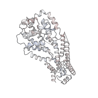 41194_8tep_D_v1-0
Human cytomegalovirus portal vertex, virion configuration 1 (VC1)