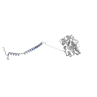 41194_8tep_E_v1-0
Human cytomegalovirus portal vertex, virion configuration 1 (VC1)