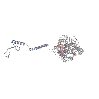 41194_8tep_F_v1-0
Human cytomegalovirus portal vertex, virion configuration 1 (VC1)