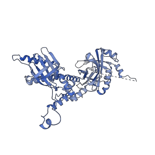 41194_8tep_G_v1-0
Human cytomegalovirus portal vertex, virion configuration 1 (VC1)