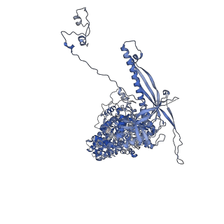 41194_8tep_H_v1-0
Human cytomegalovirus portal vertex, virion configuration 1 (VC1)