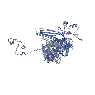 41194_8tep_I_v1-0
Human cytomegalovirus portal vertex, virion configuration 1 (VC1)