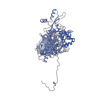 41194_8tep_J_v1-0
Human cytomegalovirus portal vertex, virion configuration 1 (VC1)