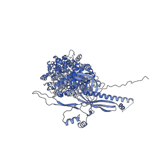 41194_8tep_K_v1-0
Human cytomegalovirus portal vertex, virion configuration 1 (VC1)