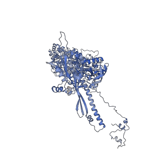 41194_8tep_L_v1-0
Human cytomegalovirus portal vertex, virion configuration 1 (VC1)