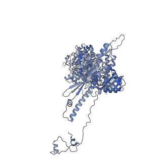 41194_8tep_M_v1-0
Human cytomegalovirus portal vertex, virion configuration 1 (VC1)