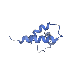 41194_8tep_N_v1-0
Human cytomegalovirus portal vertex, virion configuration 1 (VC1)