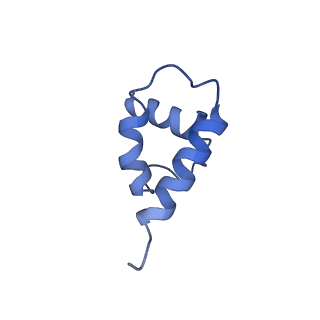 41194_8tep_O_v1-0
Human cytomegalovirus portal vertex, virion configuration 1 (VC1)