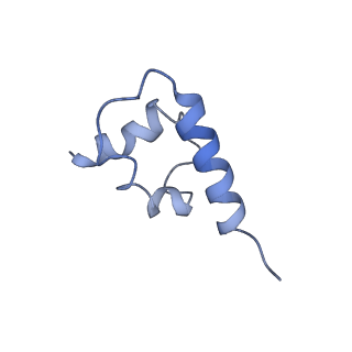 41194_8tep_P_v1-0
Human cytomegalovirus portal vertex, virion configuration 1 (VC1)