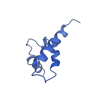 41194_8tep_Q_v1-0
Human cytomegalovirus portal vertex, virion configuration 1 (VC1)