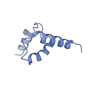 41194_8tep_R_v1-0
Human cytomegalovirus portal vertex, virion configuration 1 (VC1)