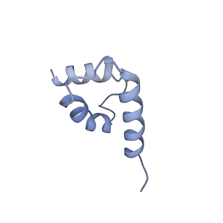 41194_8tep_S_v1-0
Human cytomegalovirus portal vertex, virion configuration 1 (VC1)