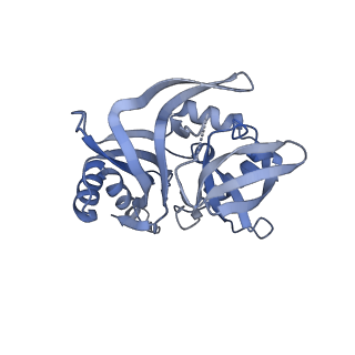 41194_8tep_T_v1-0
Human cytomegalovirus portal vertex, virion configuration 1 (VC1)