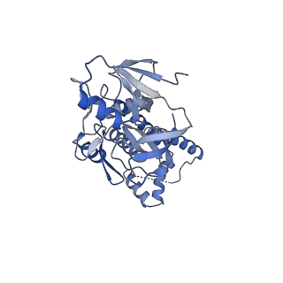 41194_8tep_U_v1-0
Human cytomegalovirus portal vertex, virion configuration 1 (VC1)