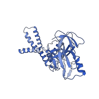 41194_8tep_V_v1-0
Human cytomegalovirus portal vertex, virion configuration 1 (VC1)