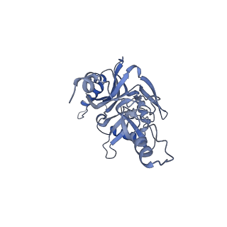 41194_8tep_W_v1-0
Human cytomegalovirus portal vertex, virion configuration 1 (VC1)