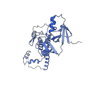 41194_8tep_X_v1-0
Human cytomegalovirus portal vertex, virion configuration 1 (VC1)