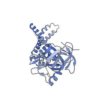 41194_8tep_Y_v1-0
Human cytomegalovirus portal vertex, virion configuration 1 (VC1)