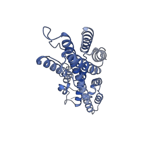 41194_8tep_Z_v1-0
Human cytomegalovirus portal vertex, virion configuration 1 (VC1)