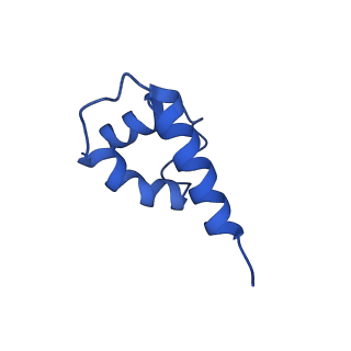 41204_8tew_2_v1-0
Human cytomegalovirus penton vertex, CVSC-bound configuration