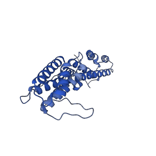 41204_8tew_3_v1-0
Human cytomegalovirus penton vertex, CVSC-bound configuration
