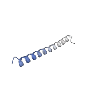41204_8tew_A_v1-0
Human cytomegalovirus penton vertex, CVSC-bound configuration