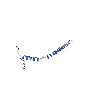 41204_8tew_E_v1-0
Human cytomegalovirus penton vertex, CVSC-bound configuration