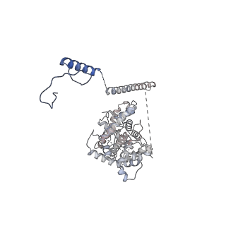 41204_8tew_F_v1-0
Human cytomegalovirus penton vertex, CVSC-bound configuration