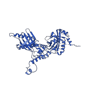 41204_8tew_G_v1-0
Human cytomegalovirus penton vertex, CVSC-bound configuration