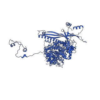 41204_8tew_I_v1-0
Human cytomegalovirus penton vertex, CVSC-bound configuration