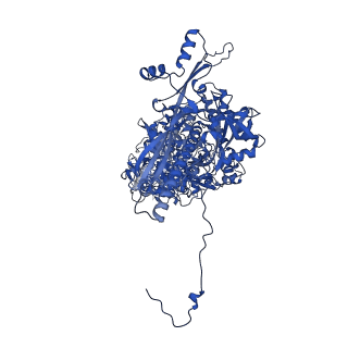 41204_8tew_J_v1-0
Human cytomegalovirus penton vertex, CVSC-bound configuration