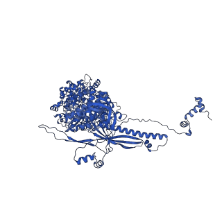 41204_8tew_K_v1-0
Human cytomegalovirus penton vertex, CVSC-bound configuration