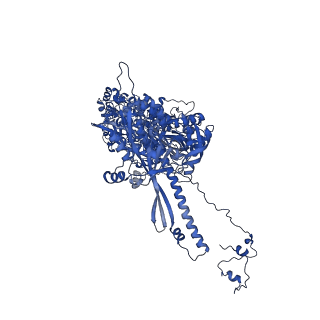 41204_8tew_L_v1-0
Human cytomegalovirus penton vertex, CVSC-bound configuration