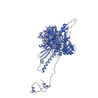 41204_8tew_M_v1-0
Human cytomegalovirus penton vertex, CVSC-bound configuration