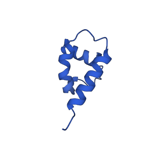 41204_8tew_O_v1-0
Human cytomegalovirus penton vertex, CVSC-bound configuration