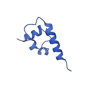 41204_8tew_P_v1-0
Human cytomegalovirus penton vertex, CVSC-bound configuration