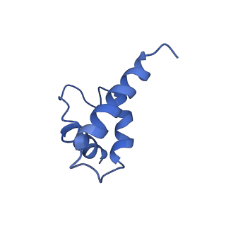 41204_8tew_Q_v1-0
Human cytomegalovirus penton vertex, CVSC-bound configuration